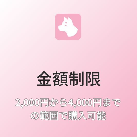 [デモ] 合計2,000円から4,000円までの金額制限